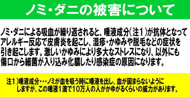 フリーブロッカー ハウス用 レッド 超音波式 ノミ ダニ 防除装置 犬用品 犬 猫用品 猫 ペットグッズ ペット用品 家 屋外