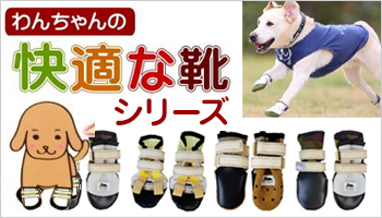 快適な靴