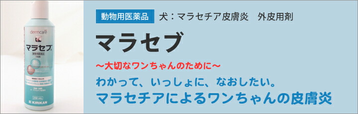 送料無料】【2本】犬用 マラセブシャンプー 250ml 2本 動物用