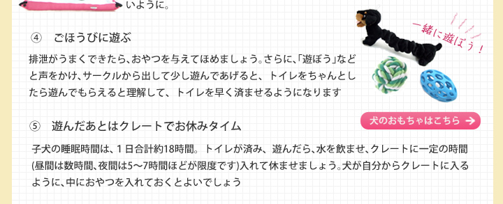 イレ＆クレート トレーニング5つのステップ