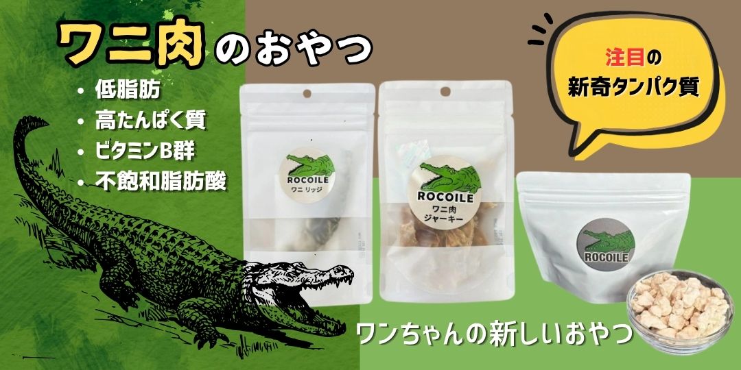 ワニ肉