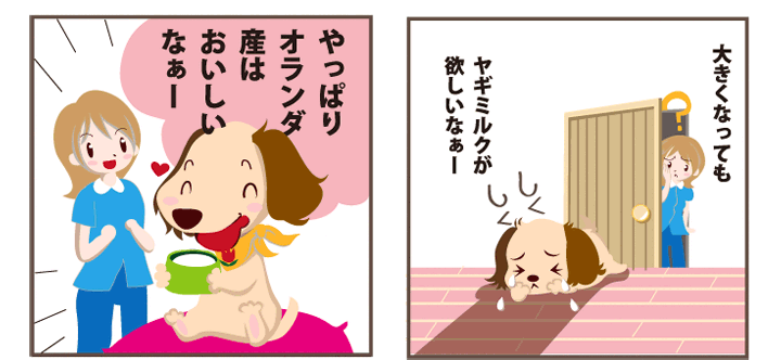 4コマ